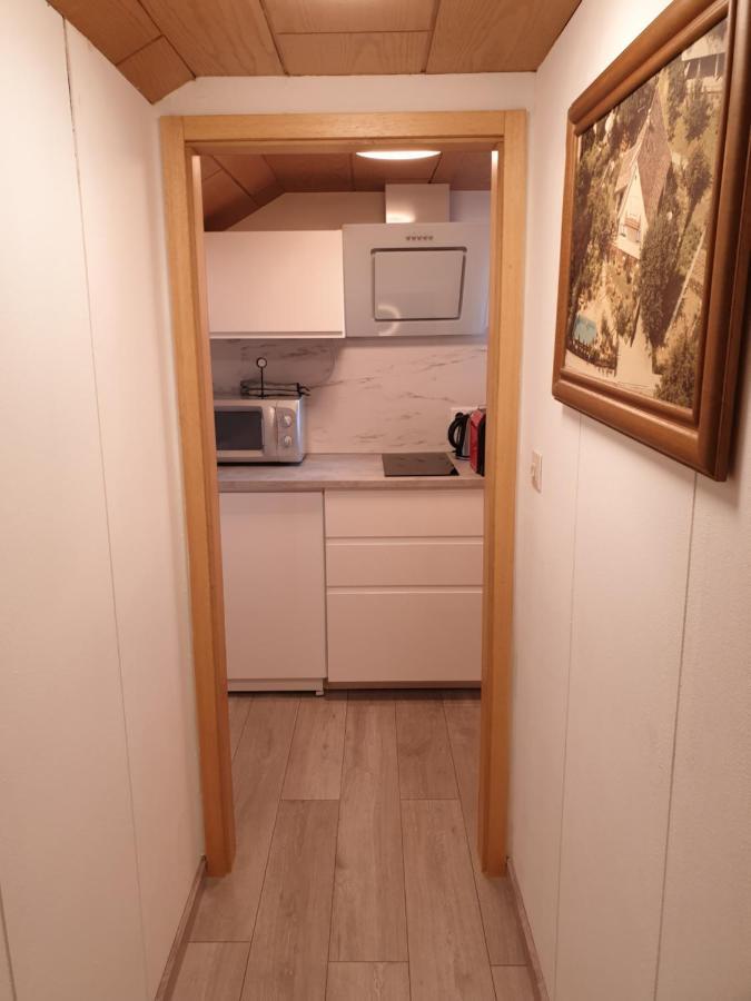 Sonnige Ruhige Dachzimmer Inkl Wifi Plus Kaffee Mit Wg Dusche Und Neuer Kueche Lorrach Bagian luar foto